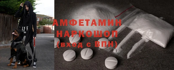 индика Богородицк