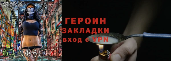индика Богородицк