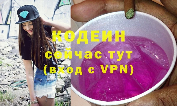 индика Богородицк
