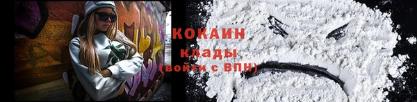 тгк Богданович
