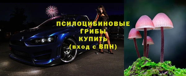 ГАЛЛЮЦИНОГЕННЫЕ ГРИБЫ Беломорск