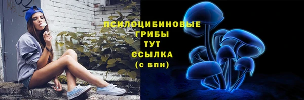 молекула духа Богородск