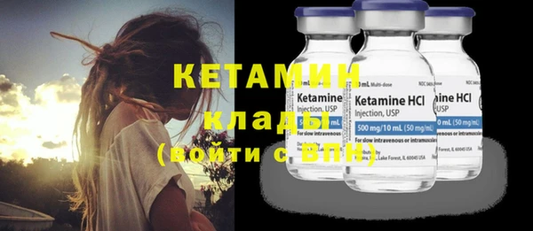 индика Богородицк