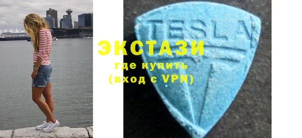 индика Богородицк