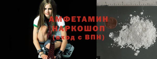 индика Богородицк