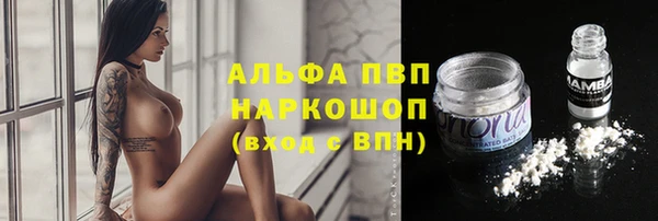 молекула духа Богородск