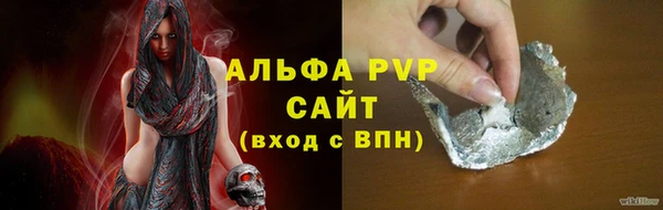 индика Богородицк