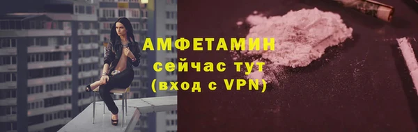 индика Богородицк