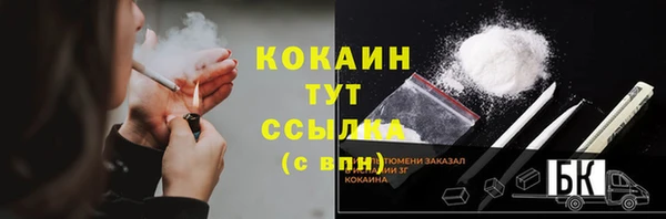 молекула духа Богородск
