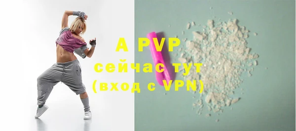 тгк Богданович