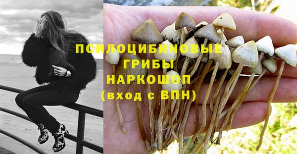молекула духа Богородск