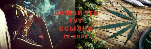 тгк Богданович
