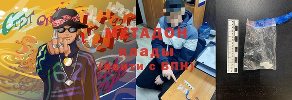 индика Богородицк