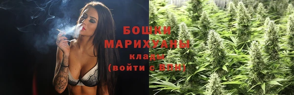 тгк Богданович