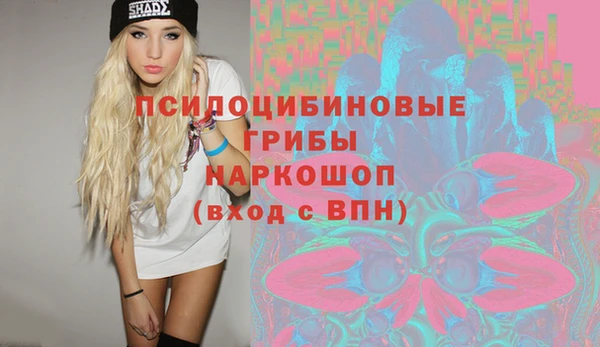 индика Богородицк