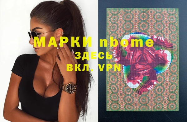 индика Богородицк