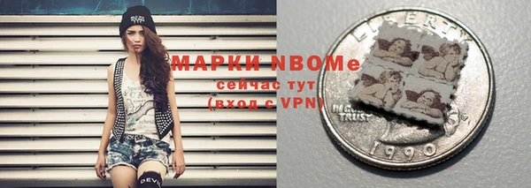 индика Богородицк
