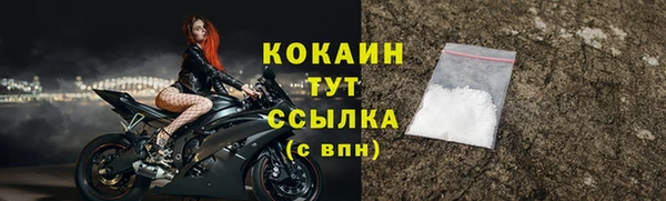 индика Богородицк