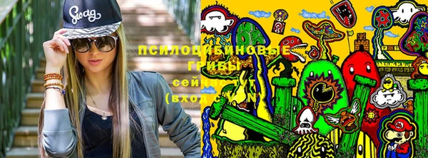 тгк Богданович