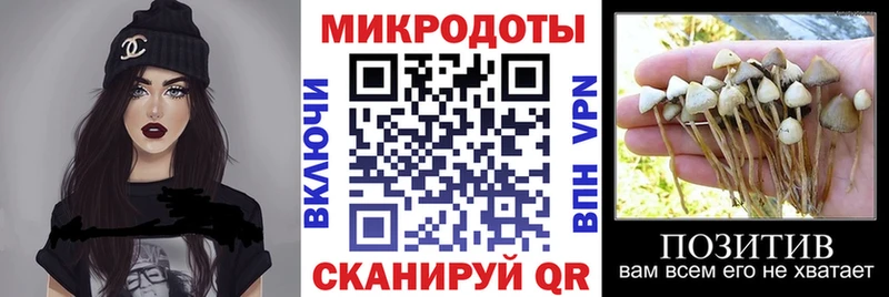 закладки  Алушта  Галлюциногенные грибы мухоморы 