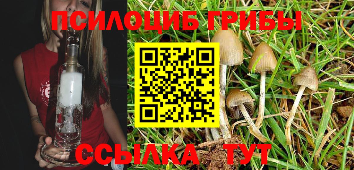 Галлюциногенные грибы прущие грибы  Алушта 
