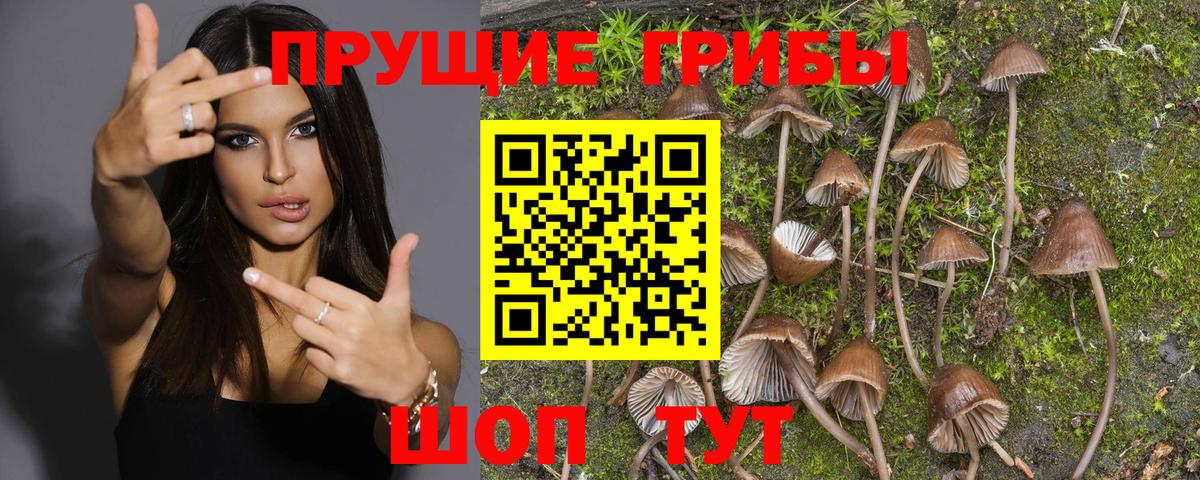 Галлюциногенные грибы мухоморы  Вход с VPN  магазин продажи наркотиков  Алушта 