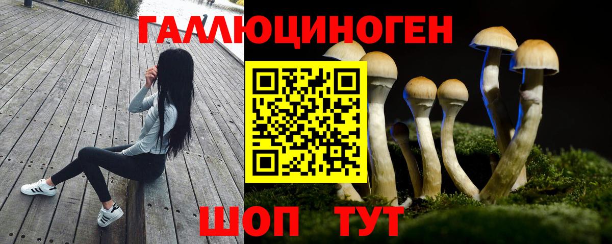 Галлюциногенные грибы Magic Shrooms Алушта